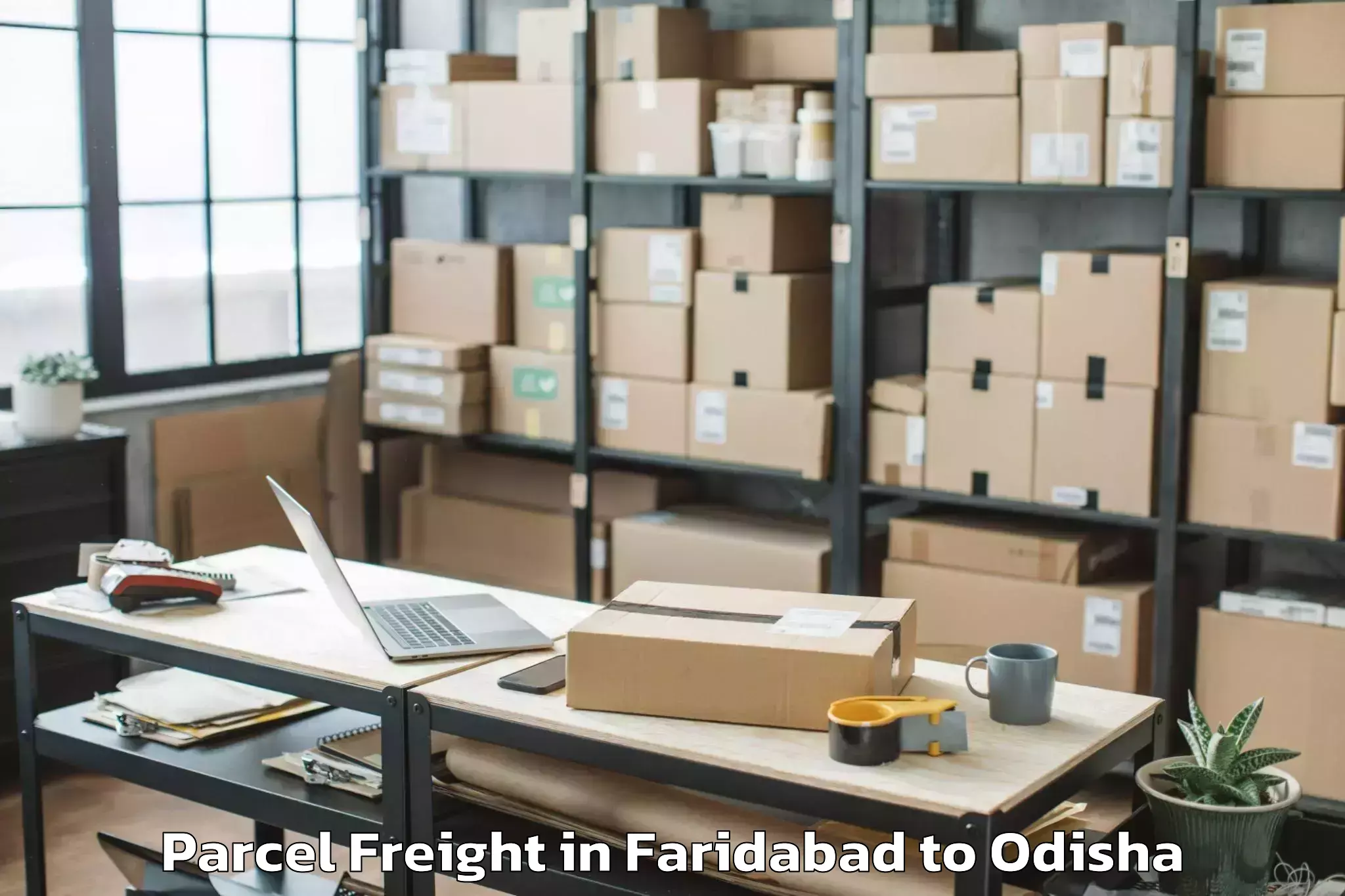 Easy Faridabad to Kaptipada Parcel Freight Booking